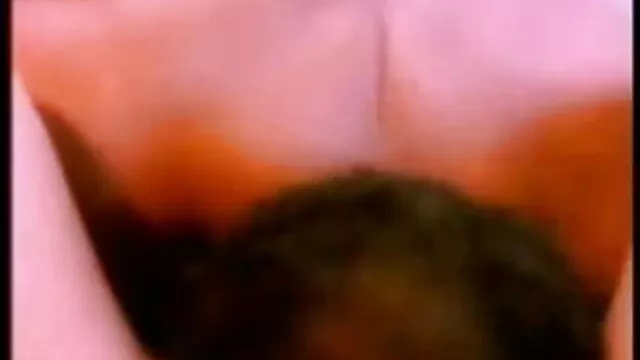 লুকানো ক্যামেরা, নতুন বাংলা xxx ক্যামেরার