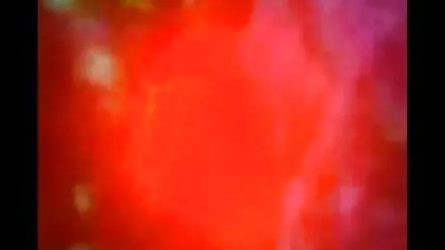 সুন্দরী বালিকা বাংলা এক্সক্স