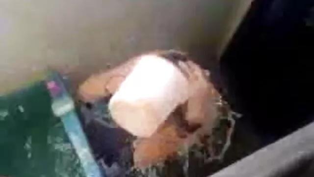 স্বামী বাংলা নায়িকা xxx ও স্ত্রী