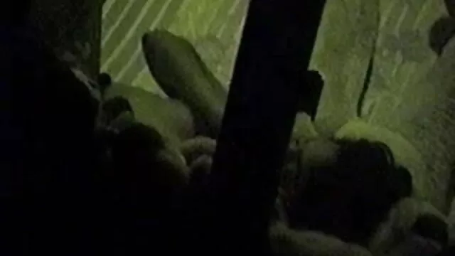 মেয়ে সমকামী সুন্দরী বালিকা বাংলা sex xxx তিনে মিলে