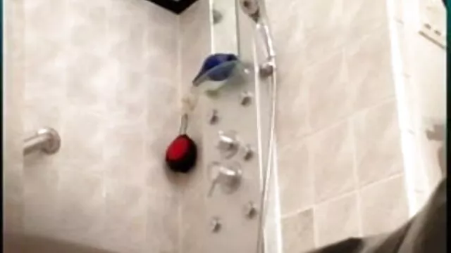 অপেশাদার, xxx বাংলা com স্বামী ও স্ত্রী,
