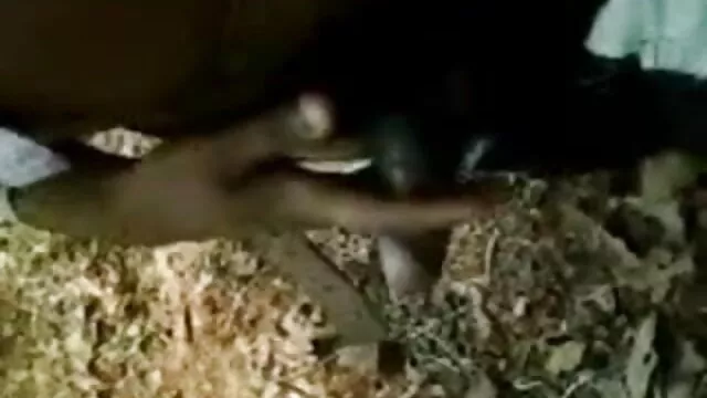 সুন্দরি বাংলা নিউ xxxxx সেক্সি মহিলার