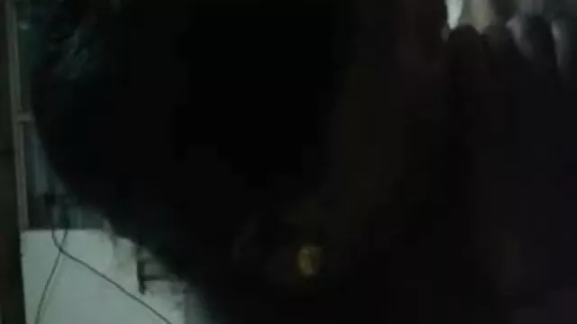 বহু পুরুষের এক নারির, বাংলা xxx sex