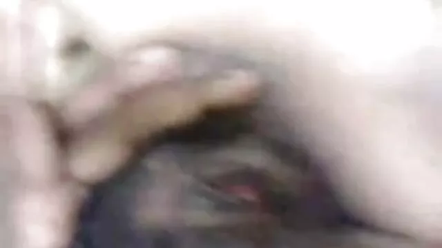 স্বামী ও বাংল xx স্ত্রী,