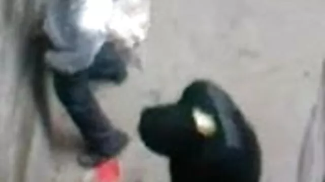 কাজের মেয়ে 3xx বাংলা