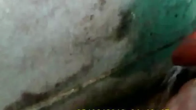 বাঁড়ার রস বাংলা চুদা চুদি sex খাবার