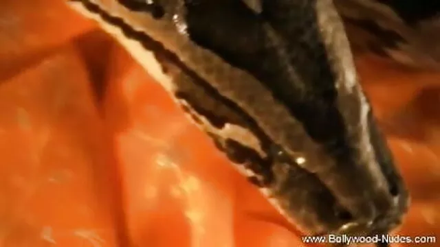 মেয়ে বাংলা এক্সক্স ভিদেও সমকামী