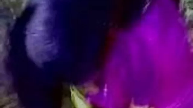 পুরানো-বালিকা বাংলাদেশি xxxx video বন্ধু পভ অপেশাদার দুর্দশা