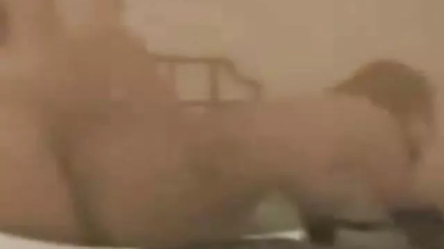 জাপানি এশিয়ান বাংলা ভিডিও একছ