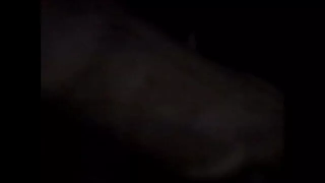 মাই এর, সুন্দরি সেক্সি মহিলার বাংলা 3xxx