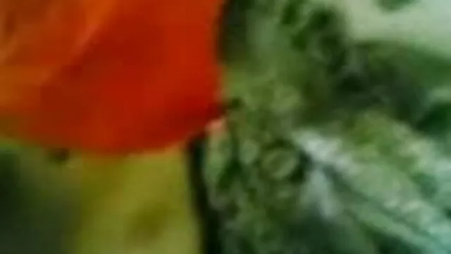 ধর্ষণ, চমৎকার, দাসত্ব, বাংলা নতুন xxx video মহিলার দ্বারা