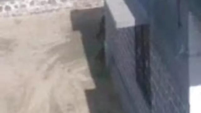 নকল বাঁড়ার, নতুন বাংলা xx শ্যামাঙ্গিণী