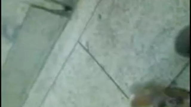 মেয়ে সমকামী বাংলা এক্সক্সক্স ভিদেও