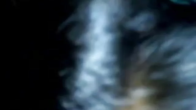 দুই প্রেমীদের বাংলা xx ওয়েটার