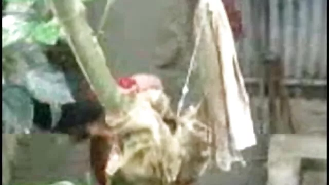 মাই বাংলা ভিডিও সেকচ এর, সুন্দরি সেক্সি মহিলার
