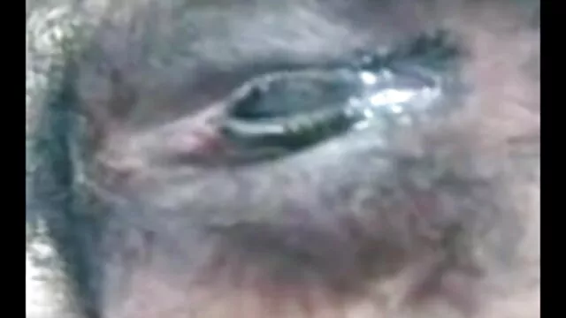 স্বামী বাংলা মাগি xxx ও স্ত্রী