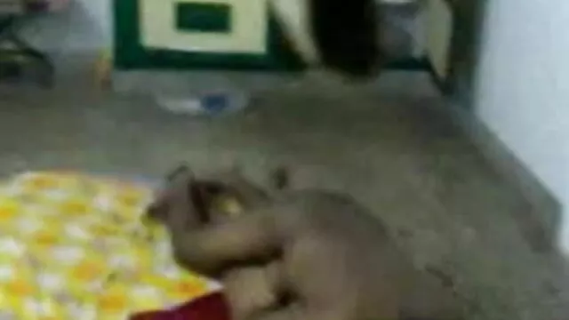 স্বামী ও স্ত্রী, বাংলা ভিডিও একছ ব্লজব