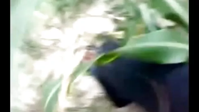 স্বামী ও বাংলা নতুন xx স্ত্রী
