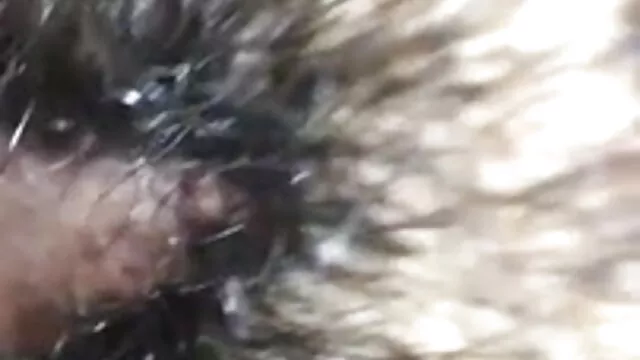 শ্যামাঙ্গিণী, বাংলা নতুন xxx video সুন্দরী বালিকা