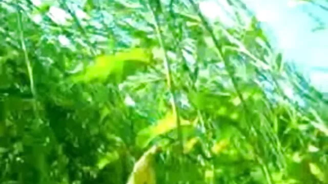 স্বামী ও বাংলা xxx নতুন স্ত্রী