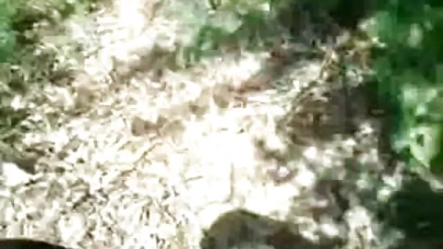 বড়ো x video বাংলা বুকের মেয়ের