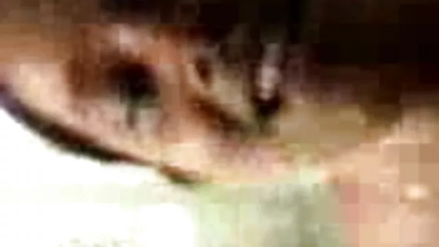 মাই এর, মেয়েদের হস্তমৈথুন এক্সক্সক্স বাংলা