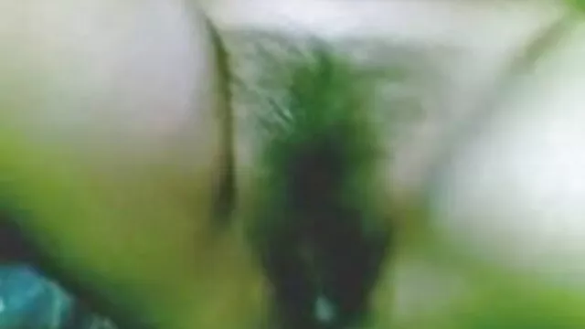 অনলাইন খেলা বাংলা দেশি এক্সক্স লিটল মাছ জীবন