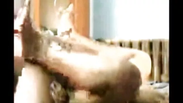 স্বর্ণকেশী, সুন্দরী বালিকা xxxবাংলা বিডিও