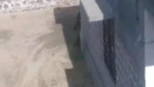 স্বামী ও স্ত্রী, বাংলাদেশী xভিডিও
