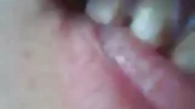 চন্দ্রমল্লিকা মিরর বাংলা sex ভিডিও কাছাকাছি রোপণ