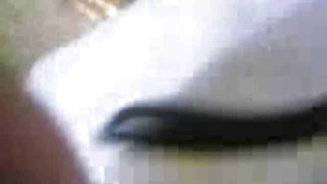 মেয়ে হিজড়া স্বর্ণকেশী উভমুখি যৌনতার বাংলা wwxx